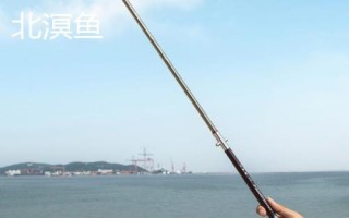 质量较好的谷麦竿品牌,狼王以高质量和性价比被广大钓友认可