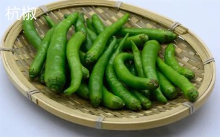 杭椒与线椒有什么区别,外观、口感、食用方法均不同