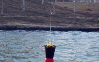 二月份钓鲢鳙要打窝吗，最好提前打窝诱鱼