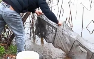 一指鱼网可以抓什么鱼，可以抓捕小白条等小鱼