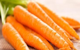 胡萝卜如何浇水，不同生长期的浇水方法不同