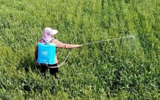 怎么选择生根产品,养根、生根、护根是关键