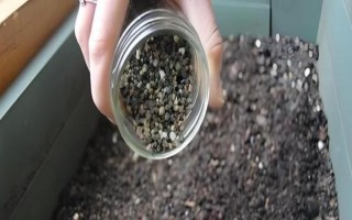 氮肥的自制方法，参考以下2种方式