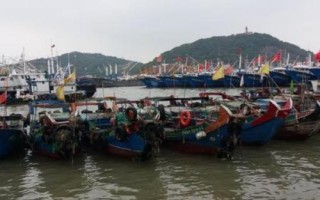 为什么舟山渔场渔业资源丰富，寒流与暖流交汇鱼群较为集中