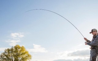 二月份钓鲢鳙要打窝吗，最好提前打窝诱鱼