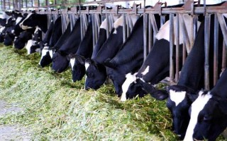 畜禽标识和养殖档案管理办法的内容，在我国境内从事相关生产等活动都要遵守