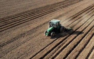 苦瓜的种植技术，控制生长温度在15-28℃之间