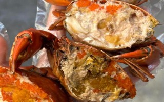 膏蟹和大闸蟹哪个更好吃，两个各有千秋