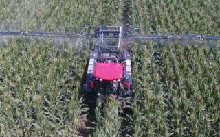 打除草剂多久下雨不影响效果，2-8个小时之后下雨不会影响效果