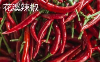 适合贵州种植的辣椒品种，是全国最大的辣椒交易市场