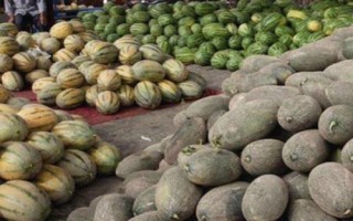 哈密瓜常见的贮藏方法，根据自己的条件合理选择