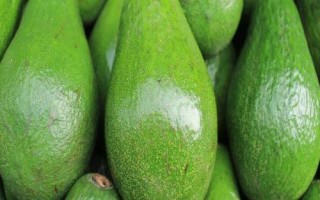 酪梨是什么水果的别称，是指牛油果