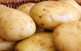 五月的应季蔬菜，有洋葱、土豆、冬瓜等