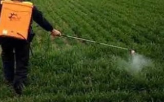 植物生长调节剂与植物激素有什么区别，前者属于人工合成的化合物、后者属于植物自身分泌的化合物