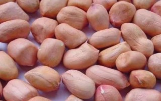 地膜花生高产栽培技术，不宜重茬