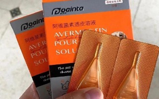 猫咪驱虫的误区，以下6种想法不可取