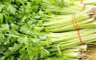 五月的应季蔬菜，有洋葱、土豆、冬瓜等