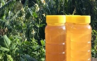 60块一斤的鸭脚木蜂蜜贵不贵，零售价通常为40-80元一斤