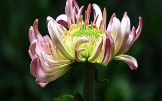 多大年龄的老人可以过重阳节,适合60岁以上的老人