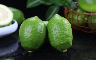 香水柠檬苗的价格，一棵需要3.6-5.9元左右