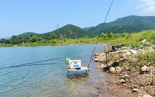 2.0号子线可以钓多重的鱼，确保质量能应付10斤以内的鱼类