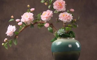 剪下的牡丹枝条水培能不能生根，牡丹枝条水培可以生根