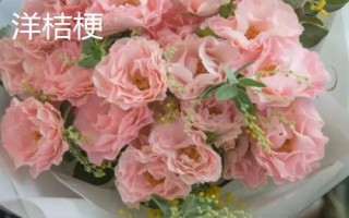 常见的洋桔梗品种介绍,品种众多各具特色