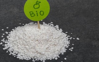 幸福树开花的寓意，寓意着吉祥如意