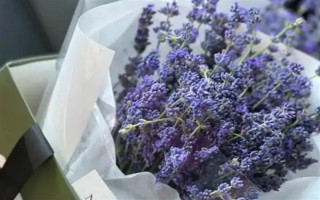 结婚一周年送老婆什么花合适，可以选择玫瑰花、百合花等