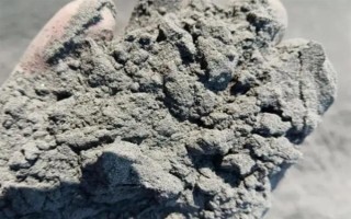 怎么扦插富贵子，在4月初扦插为佳