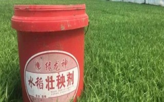 水稻壮秧剂在什么时候用，通常在秧苗移栽后使用