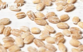 优质小麦种子介绍，要选择适合当地栽种的品种