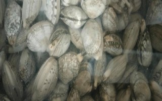 花甲的分布,广泛分布于我国的南北海区