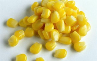 青鱼吃什么食物，幼鱼阶段吃浮游动物