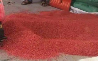 马勃菌的价格，大概在98-300元一公斤不等