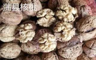 山西省蒲县的特产，蒲县黑木耳非常有名