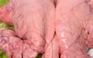 钓小龙虾用哪种肉，鸡肝、鸭肠、蚯蚓等饵料都是适宜选择