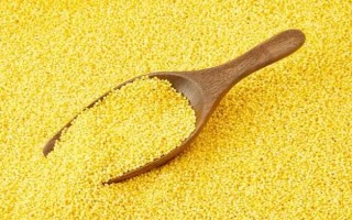 仓鼠可以吃哪些食物，可以吃小米、香蕉、桃子等