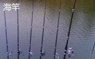 钓鲮鱼的技巧，浮漂可选立漂或七星漂