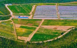 适合种植在新疆地区的水稻品种,新稻58号可在南疆和北疆推广种植