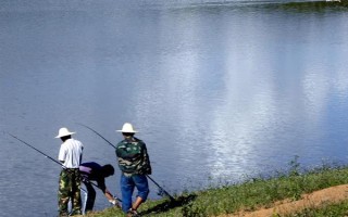 0.3号子线可以飞多重的鱼，能够直接提上2两的小鱼