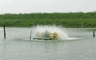 鱼塘鱼缺氧用什么药，可选择二氧化氯