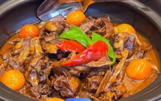 靖西大麻鸭的特点，其体型硕大且产蛋率高