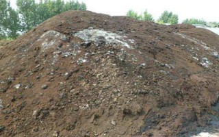 棚室更茬换季要注意什么，为图省事将残株杂草翻入地中容易引发病虫害