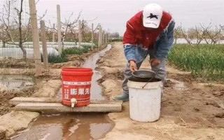 冲施肥的使用技巧,需正确选择冲施肥的肥料种类