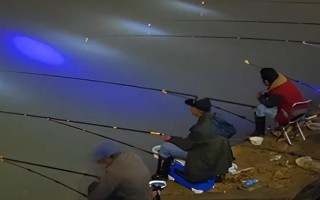 晚上钓鱼用蚯蚓好还是用饵好，用蚯蚓更好