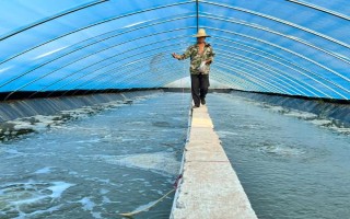 虾对水质的要求，不同品种对酸碱值的要求有区别
