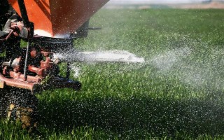 小麦开春除草时间，要在小麦拔节前及早进行