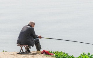 鸡肝能不能钓鱼，鸡肝能钓鱼
