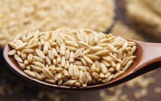 五谷杂粮是指哪5种,是指稻谷、麦子、大豆等